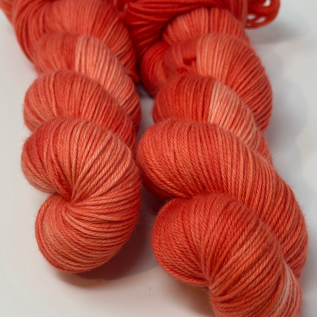Superwash DK yarn in Papaya